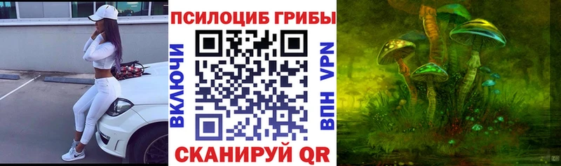 Псилоцибиновые грибы Cubensis  Завитинск 